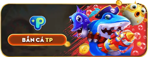 Cá cược bóng rổ fun79